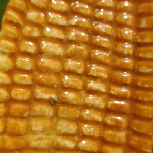 Set Of 6 Vintage Corn Dishes - Picture 16 of 16